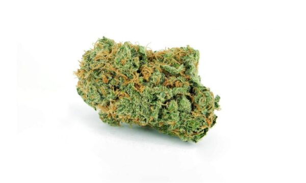 Buy Bruce Banner strain