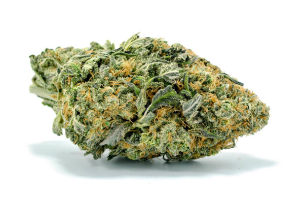 Buy Northern Lights strain