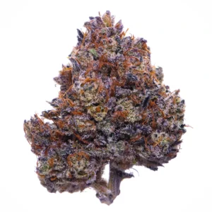 buy purple haze strain online