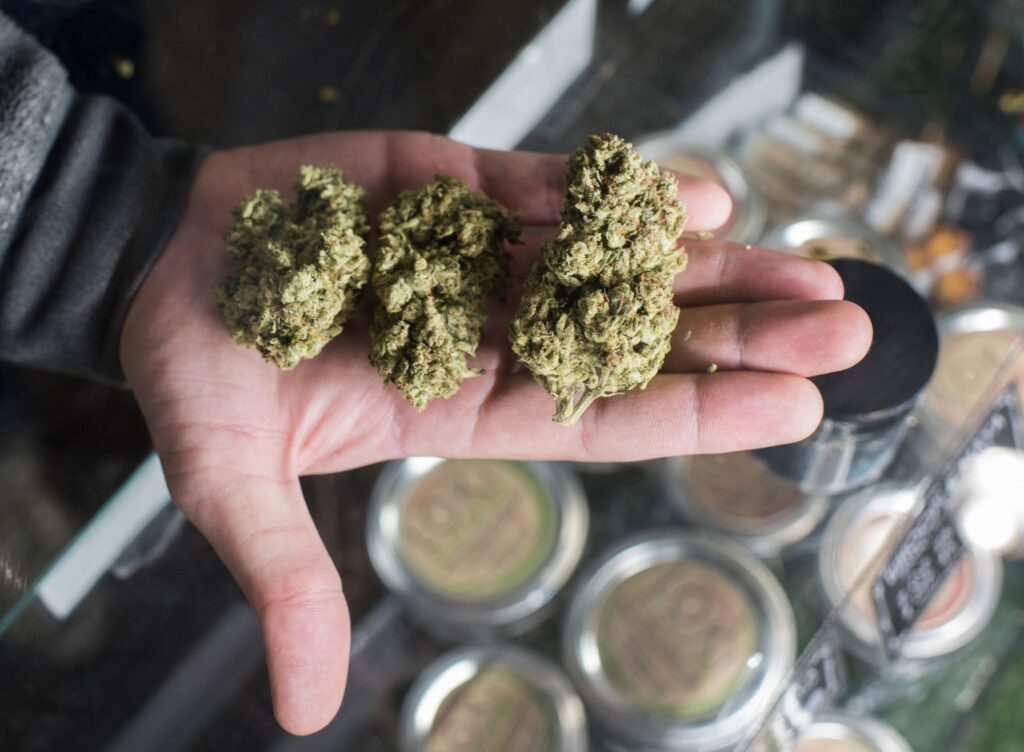 Cannabis buds on my palm are safer than alcohol in my blood