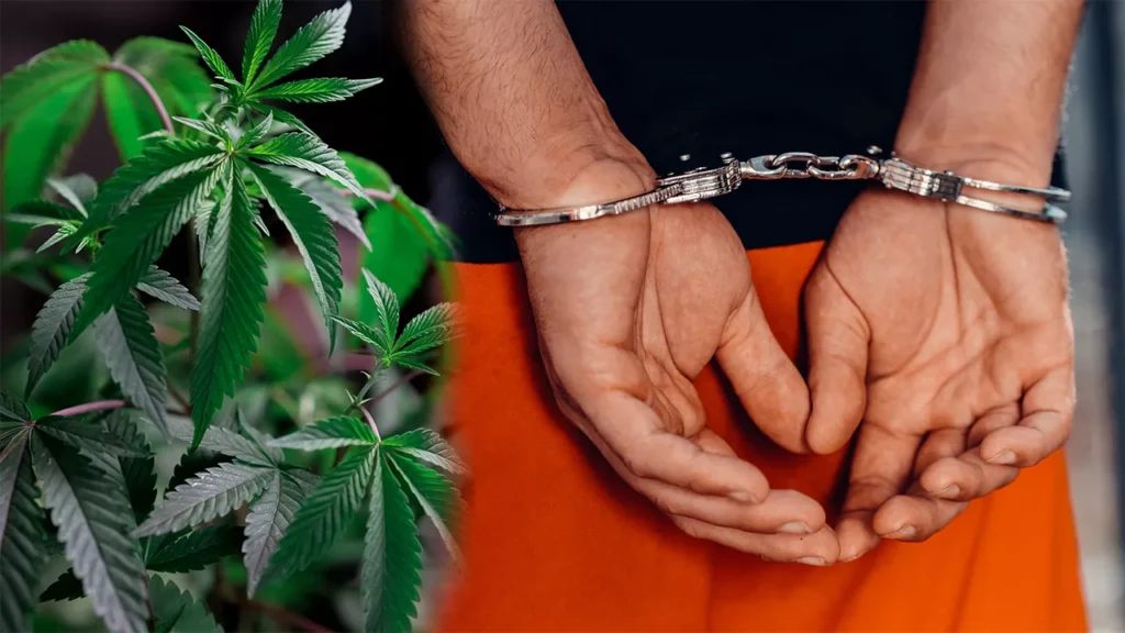 Getting busted dealing or consuming weed