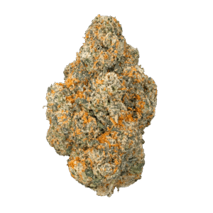 Orange Push Pop- THCa Flower