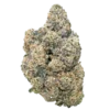 Purple Push Pop- THCa Flower