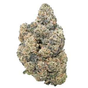 Purple Push Pop- THCa Flower