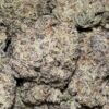 Huckleberry (Sativa)