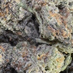Milk and Cookies (Hybrid)