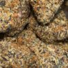 Oregon Grapes (Indica)