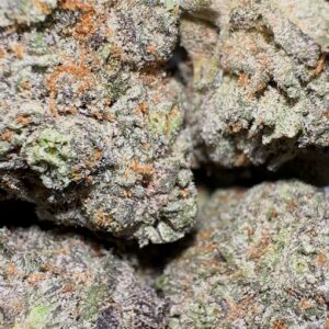 Passion Orange Guava (Sativa)