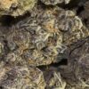 Purple Jack (Sativa)