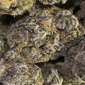 Purple Jack (Sativa)