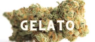 acheter la beuh gelato en lign
